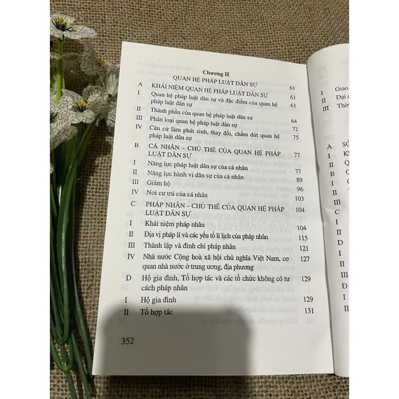 Giáo trình luật dân sự Việt Nam tập một  797690