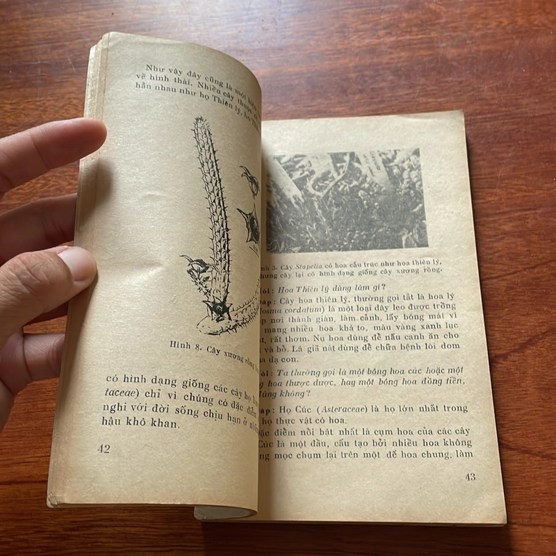 II Sách Xưa: Hỏi Đáp Về Thực Vật (Tập 4, 5) - Vũ Văn Chuyên - 1977, 1978 504397