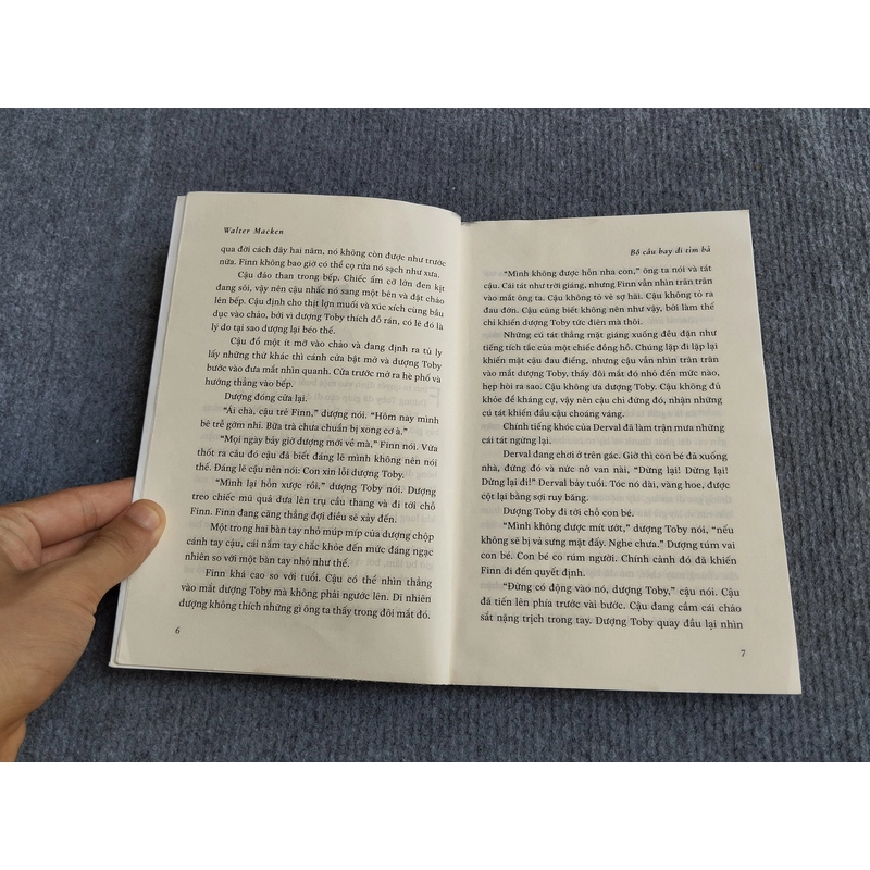 BỒ CÂU BAY ĐI TÌM BÀ - WALTER MACKEN 552816