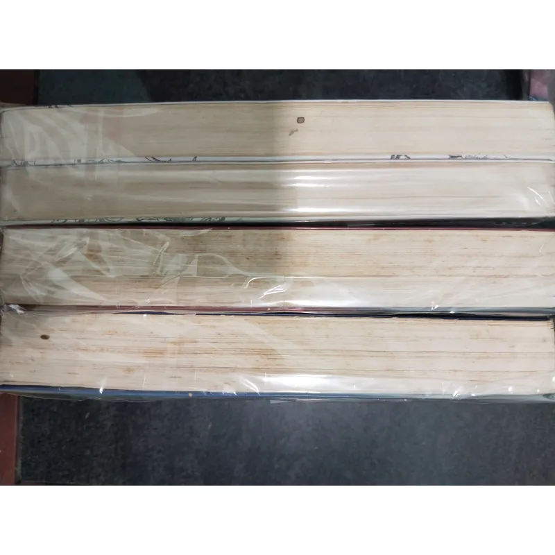 Lễ tình nhân đẫm máu + chiến thần ( Đinh Mặc )  1030532