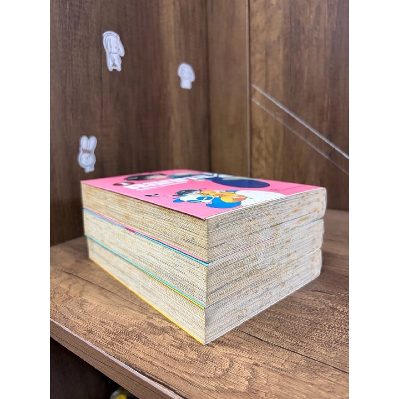 Truyện tranh ranma 1/2 deluxe 498968