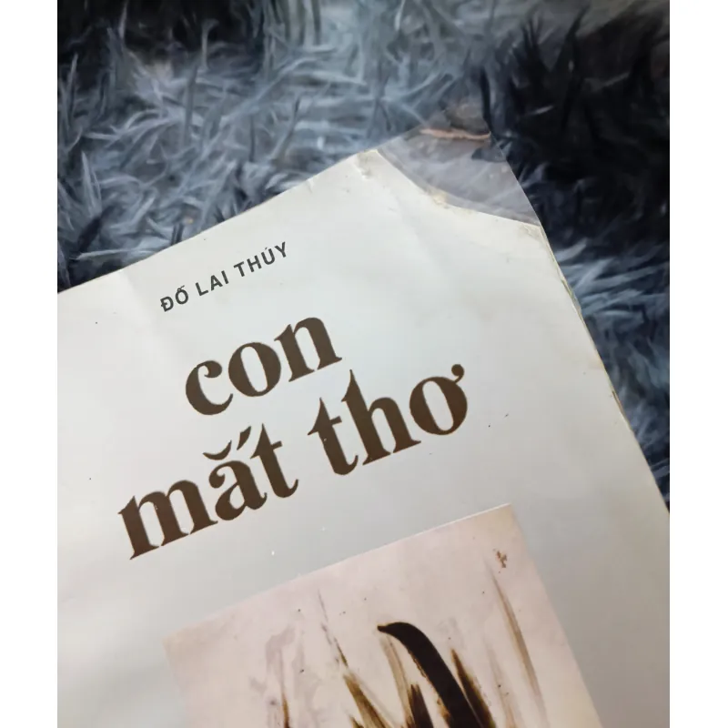Con mắt thơ (Đỗ Lai Thúy) 1023961