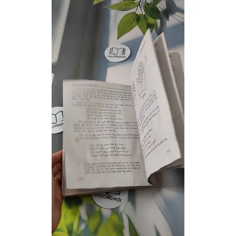 Học Thuyết Vân Bàn Tay Của Gia Cát Khổng Minh - Trình Hoành 727277