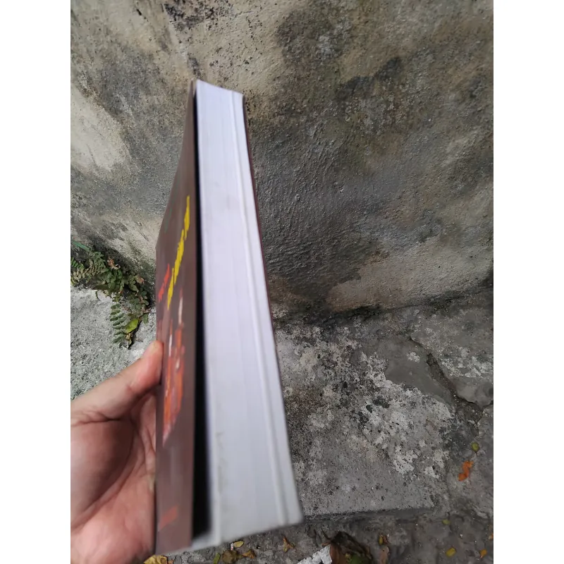 Tục thờ Chử Đồng Tử của Đỗ Lan Phương  1002341