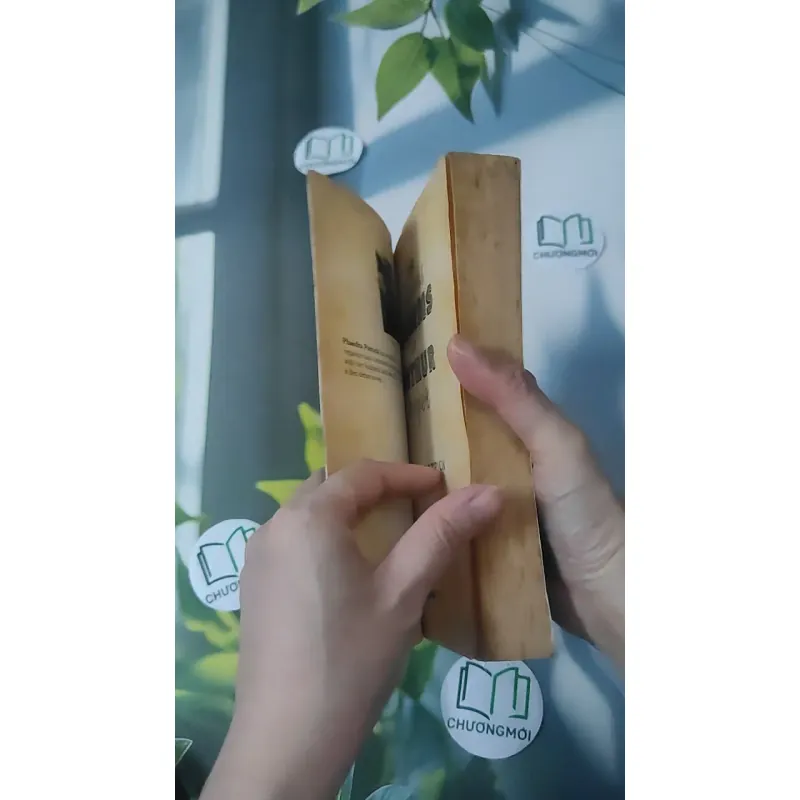 The Curious Charms of Arthur Pepper - Phaedra Patrick 1033618