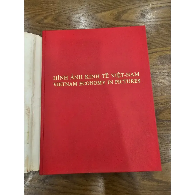 Hình ảnh kinh tế việt nam -Nguyễn Mạnh Đan - Trần Cao Lĩnh & nhà văn Duyên Anh 527829