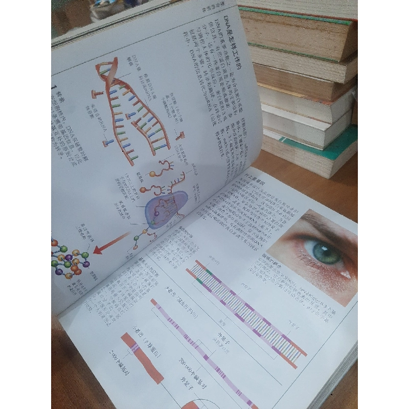 Sách tiếng Trung: The concise human body book 1030317