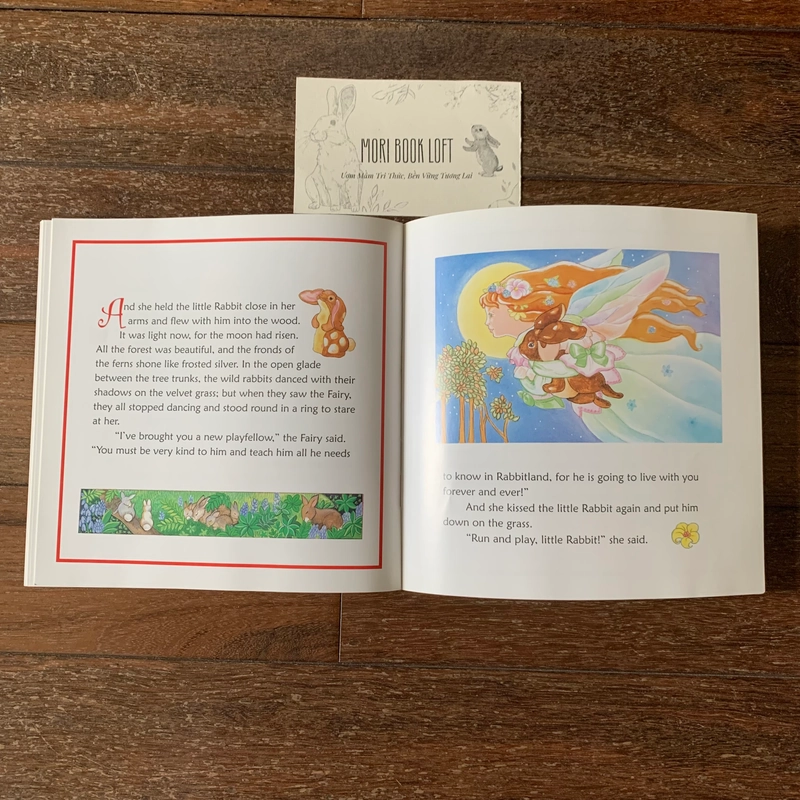 Sách tranh tiếng anh The Velveteen Rabbit, Used, tình trạng mới 478677