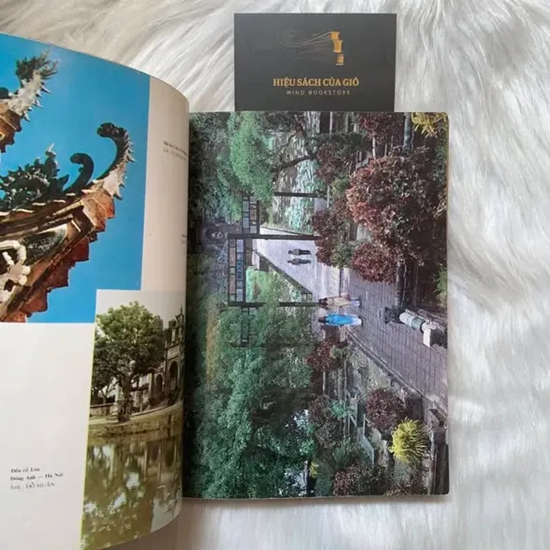 Văn hoá Việt Nam tổng hợp 1989 – 1995 (Memento) 790330