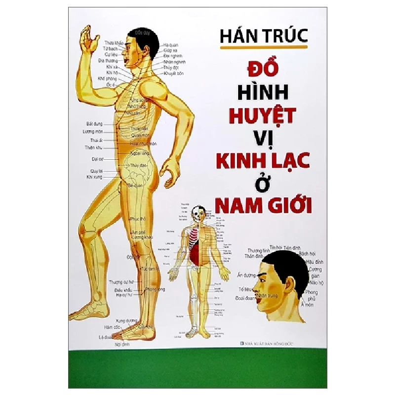 Đồ Hình Huyệt Vị Kinh Lạc Ở Nam Giới - Hán Trúc ASB.PO Oreka Blogmeo 230225 390040