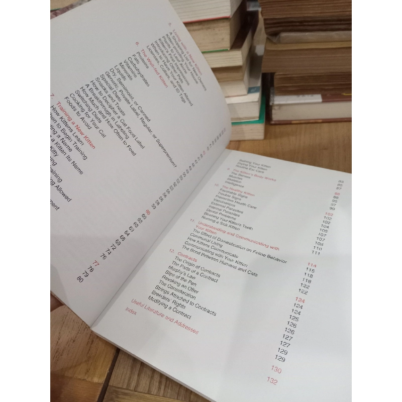 Before you buy that kitten - Phil Maggitti 753377