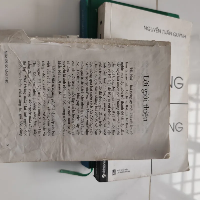 Mùa đi ngang phố  575560