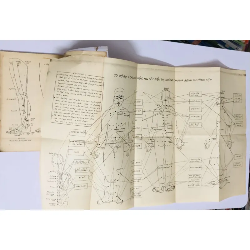 BẤM HUYỆT CHỮA BỆNH ( kèm sơ đồ các công thức huyệt điều trị ) 780380