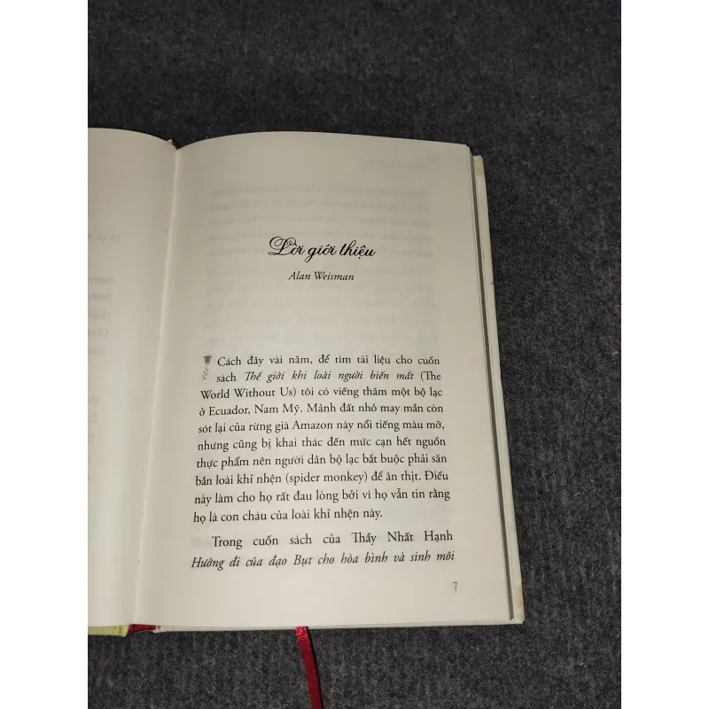 HƯỚNG ĐI CỦA ĐẠO BỤT - THÍCH NHẤT HẠNH 957447