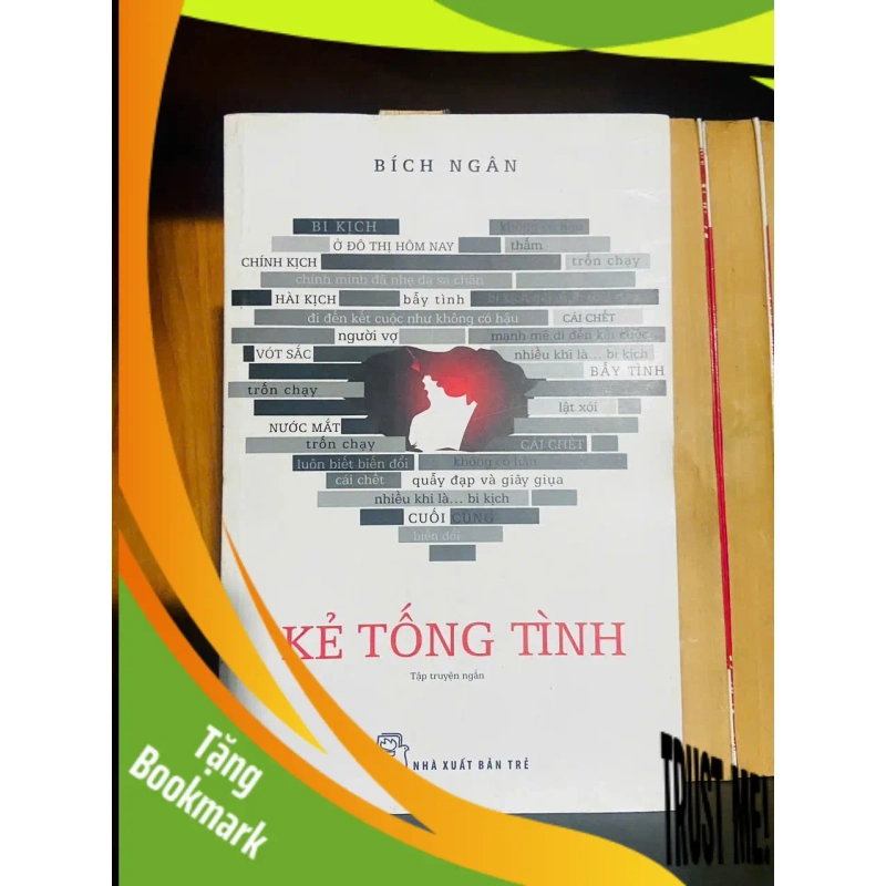 (TẶNG BOOKMARK) Kẻ tống tình / Bích Ngân VĂN HỌC RBK2012-54 945834