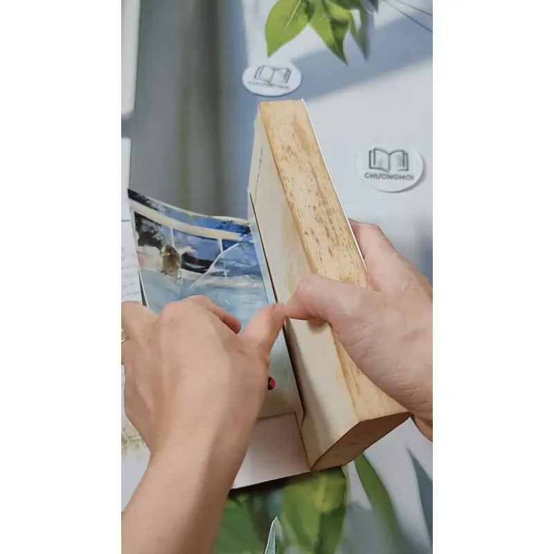 Tôi Như Ánh Dương Rạng Rỡ - Cố Mạn 744697