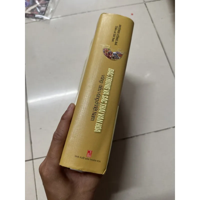 Đặc trưng và sắc thái văn hóa. Vùng và tiểu vùng ở Việt Nam 699358