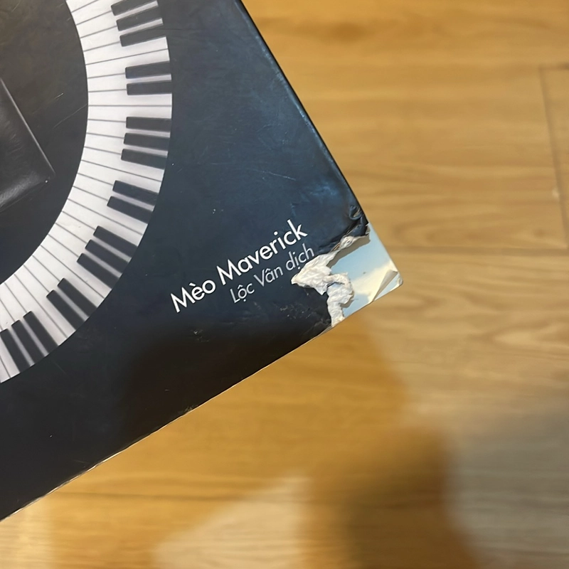 Giới hạn của bạn chỉ là xuất phát điểm của tôi - Mèo Maverick 498420