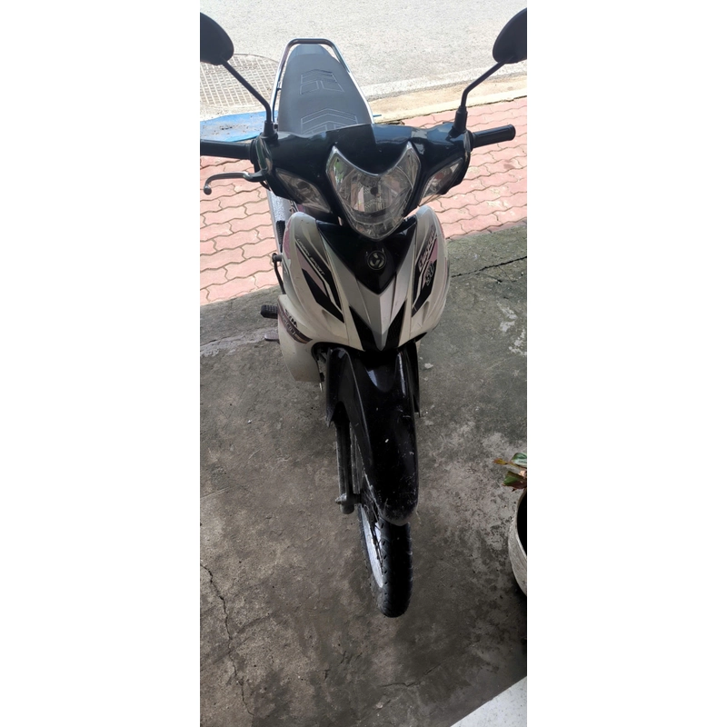 SYM Elegant 50cc BSTP máy zin êm cho học sinh 300170