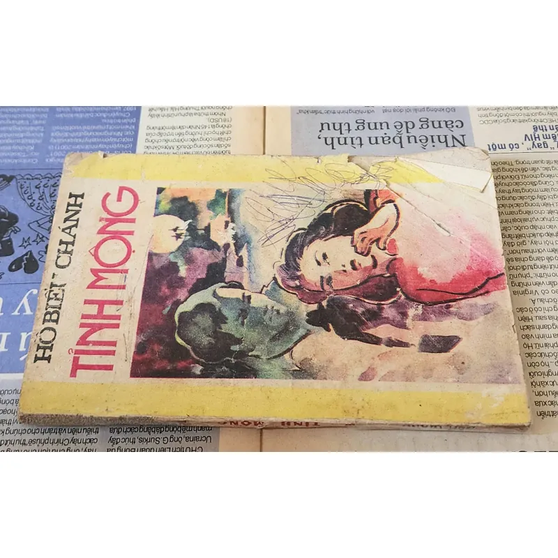 Tỉnh mộng, tiểu thuyết của Hồ Biểu Chánh 703970