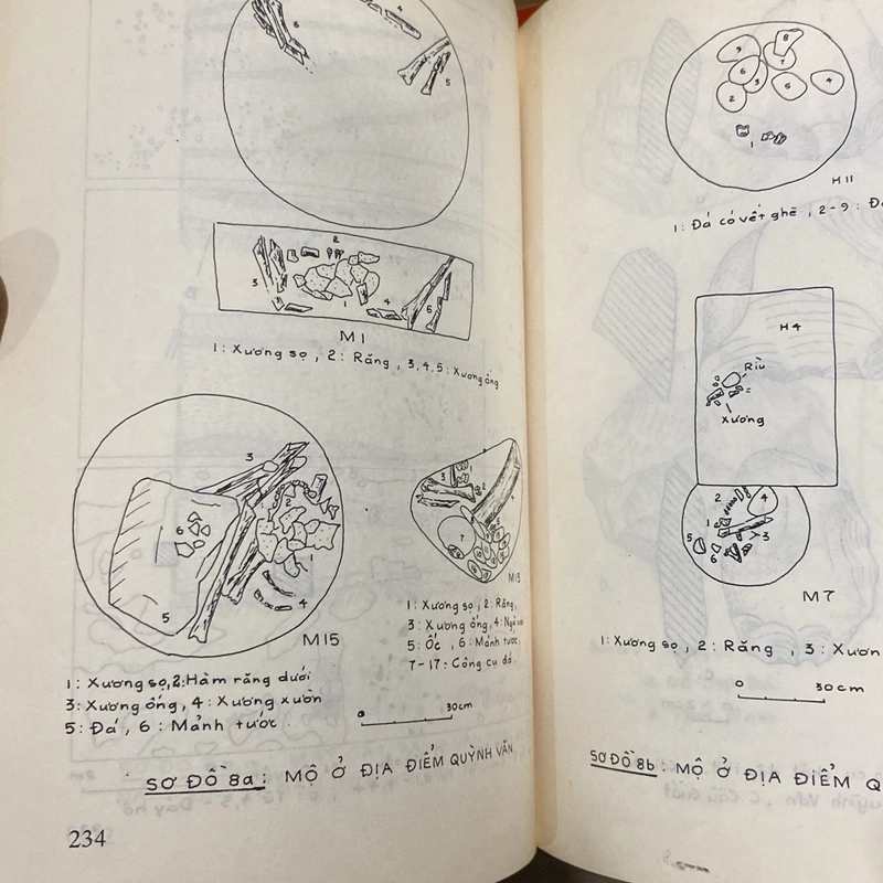 VĂN HÓA QUỲNH VĂN, sách nghiên cứu khảo cổ học Việt Nam (xb 1998) 550418