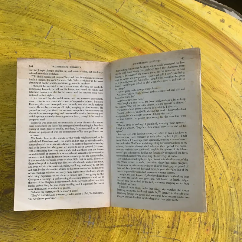 WUTHERING HEIGHTS- EMILY BRONTE 1029138