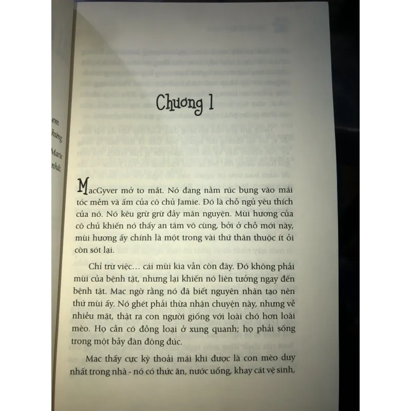 Nhân duyên mèo định - Melinda Metz 1024019