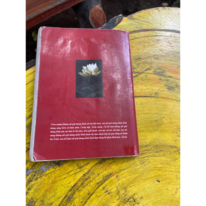 Trở về từ cõi sáng- nguyên phong 476396