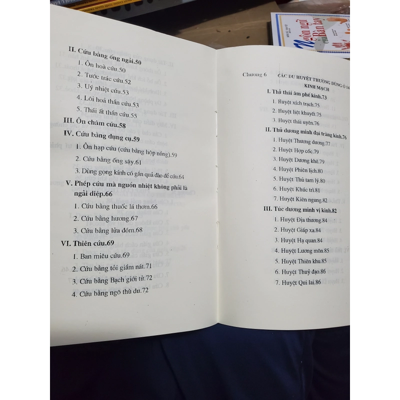 Mồi Ngải Cứu Trị Bệnh Thường Gặp (Kỹ thuật tự làm điếu ngải nhang ngải cứu) 383935