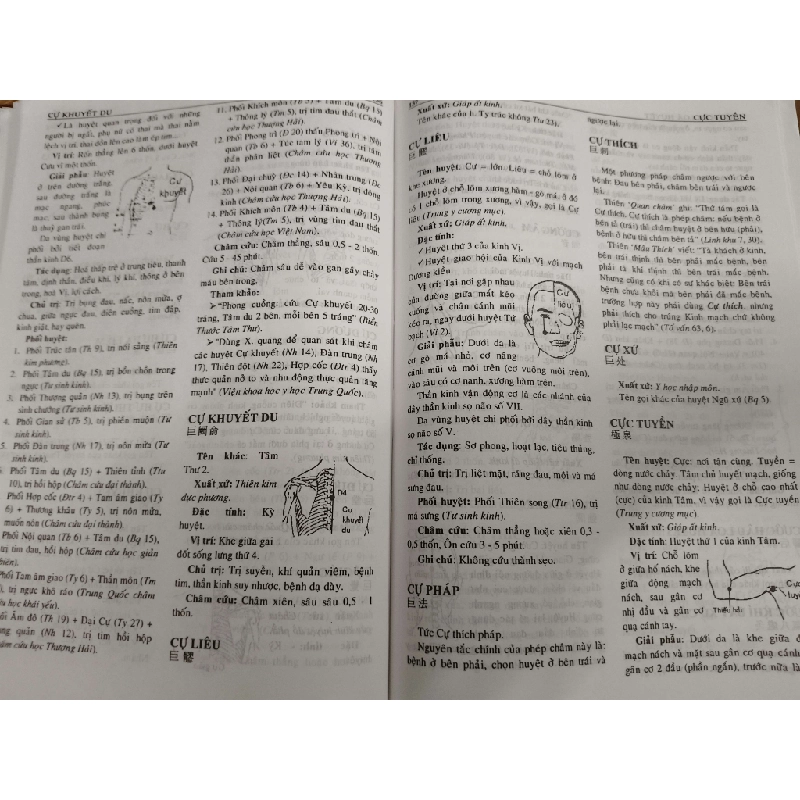 Từ điển châm cứu - 2006 - 990 trang (Sách Y học - Sức khỏe - Thể thao) ANTQ1304 1012632