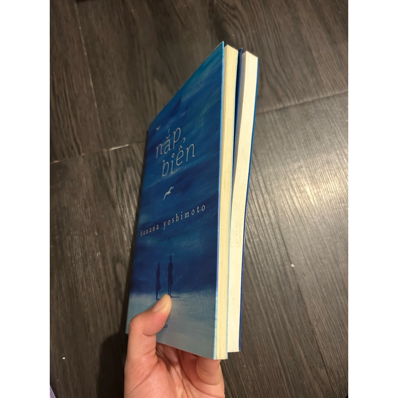 Combo Hồ + nắp biển 326238