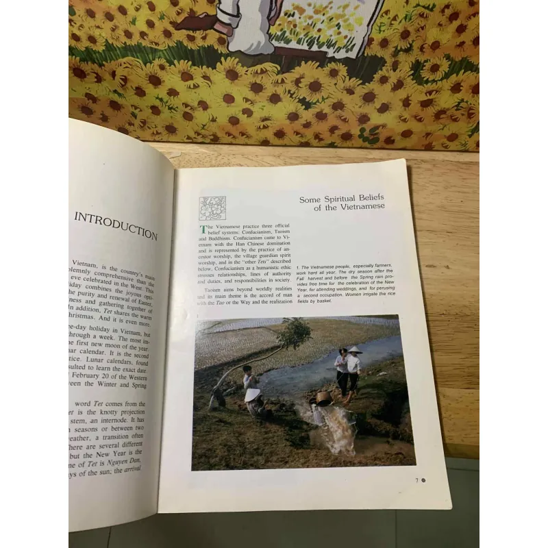 TẾT, The Vietnamese Lunar New Year - Hữu Ngọc, Barbara Cohen 553465