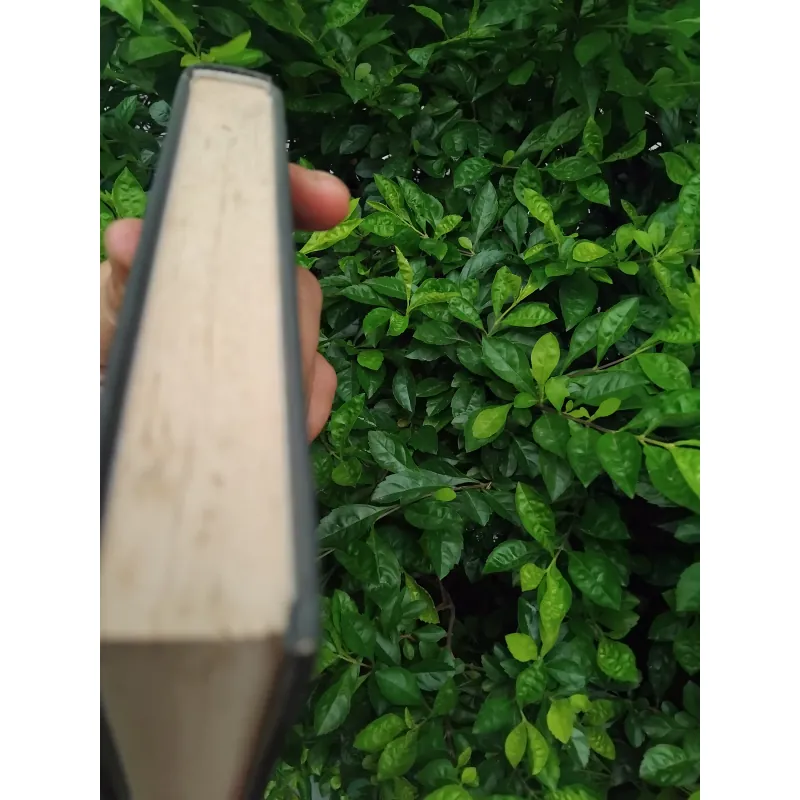 Du ngoạn vòng quanh châu Á trên lưng ngựa của Công tước Viazemski 1020852