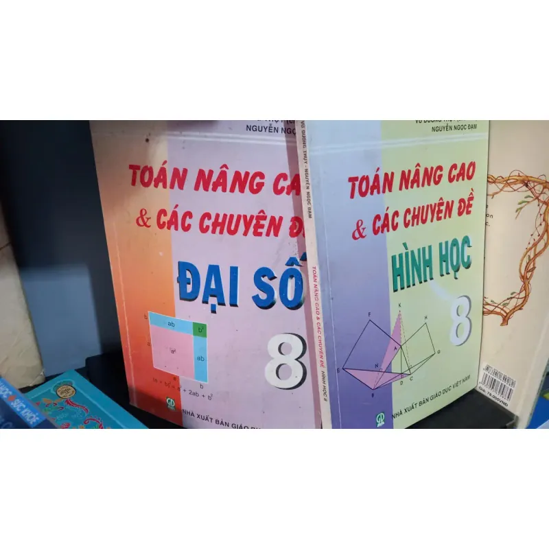 toán nâng cao và các chuyên đề 8 698271