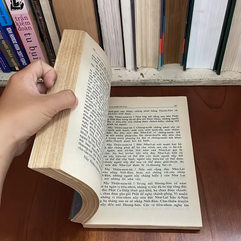 Sách Phật Giáo: Kinh Đại Bát Niết Bàn (Trọn bộ 2 Tập) - Hoà Thượng Thích Trí Tịnh - 1991 578092