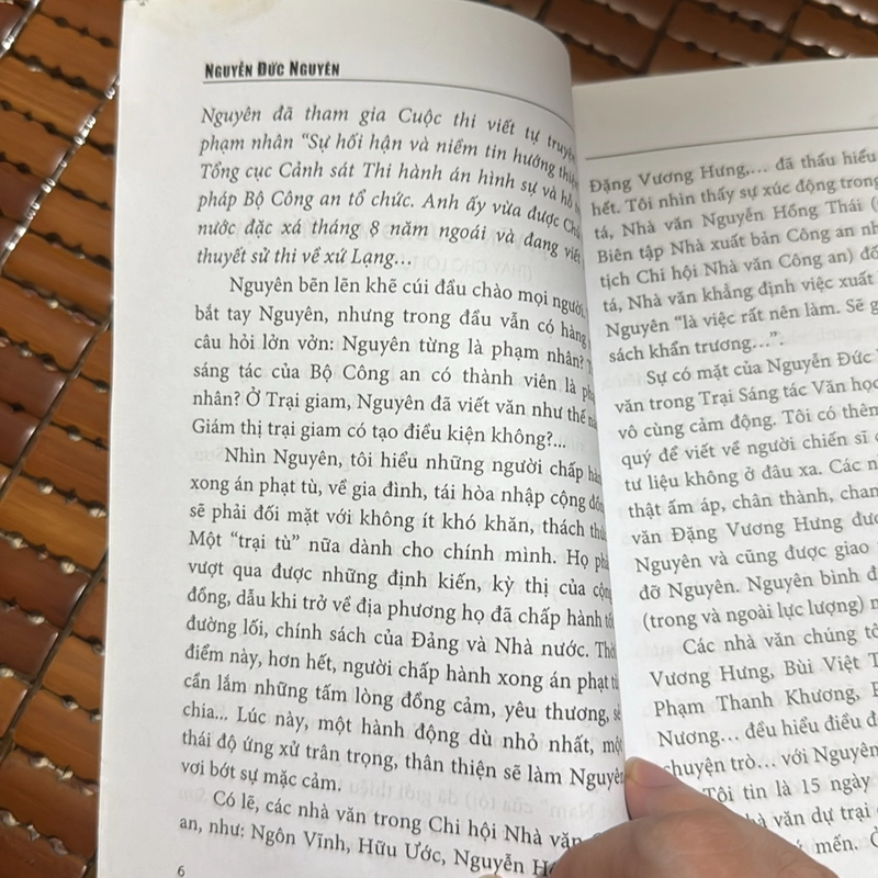 Núi mẹ - Nguyễn Đức Nguyên 517249
