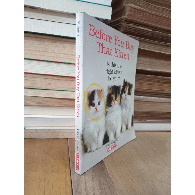 Before you buy that kitten - Phil Maggitti 753377