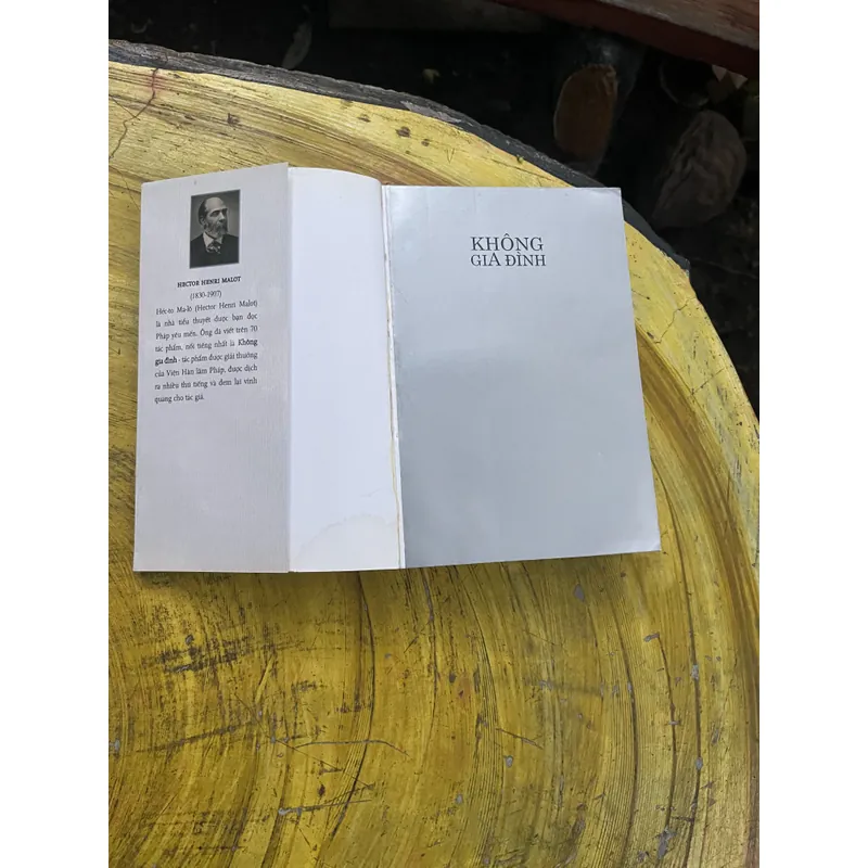 COMBO HECTOR MALOT- KHÔNG GIA ĐÌNH & TRONG GIA ĐÌNH 735560