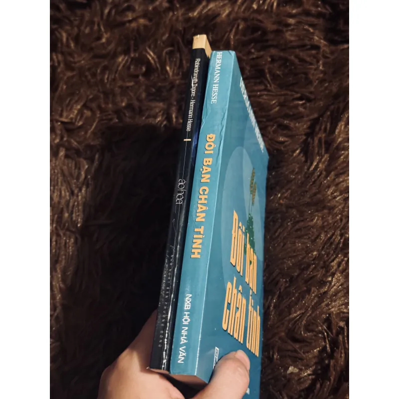 Combo đôi bạn chân tình + ảo hoá 990999