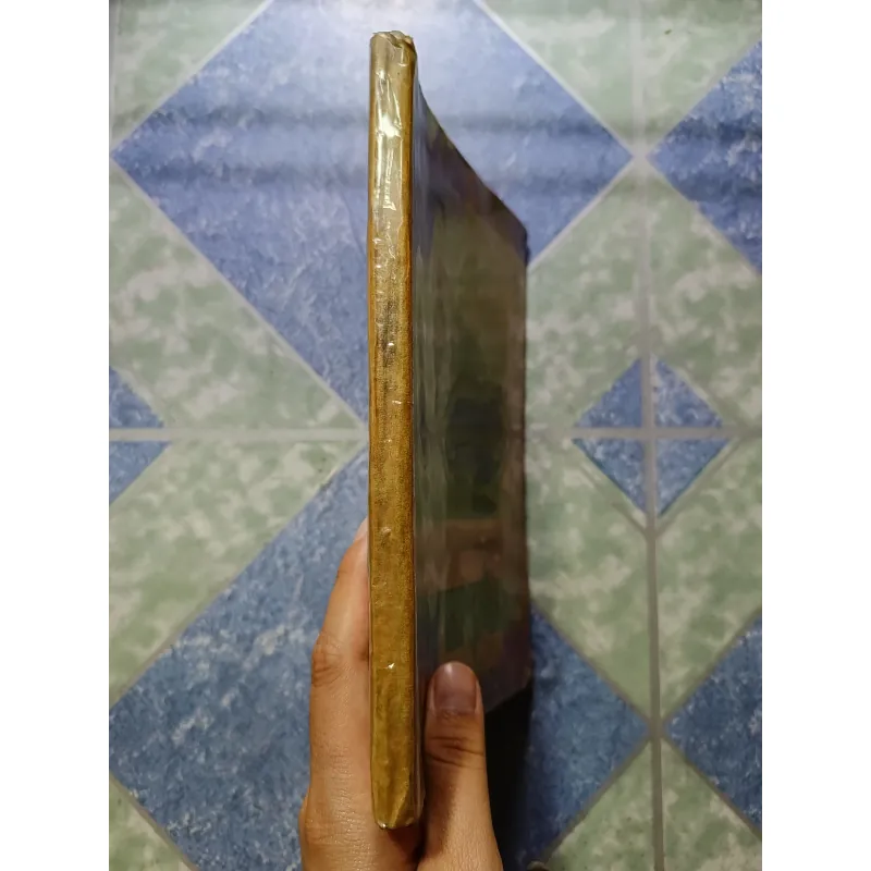 Vovinam - Việt võ đạo 999222