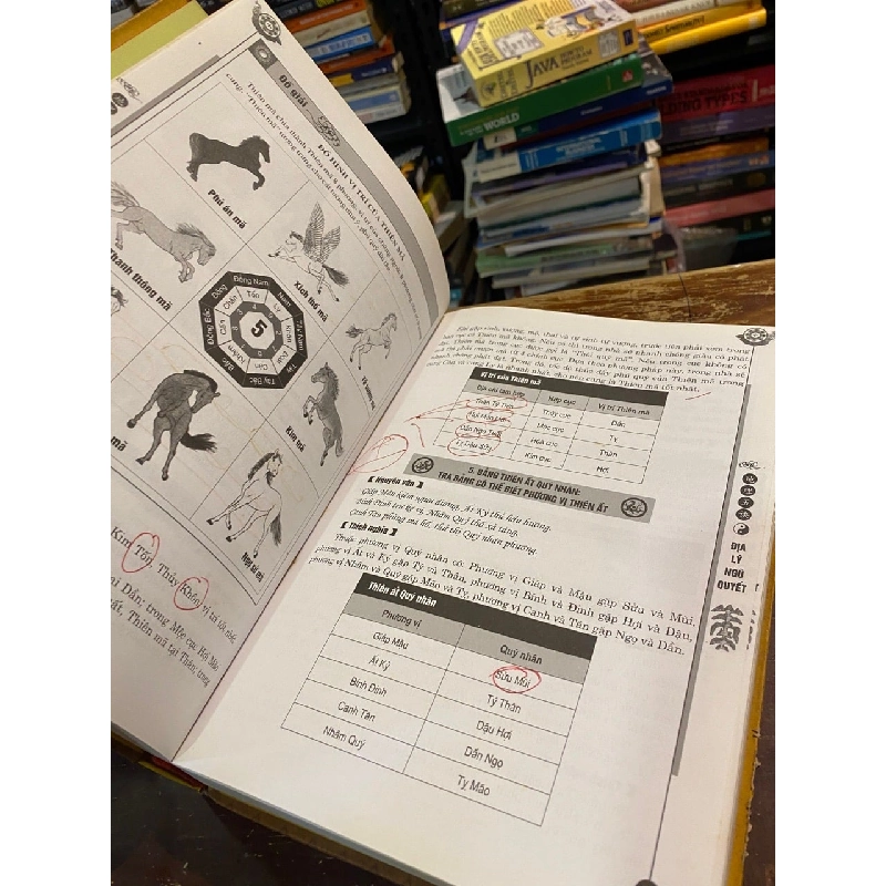 Địa lý ngũ quyết - Triệu Cửu Phong 1001939