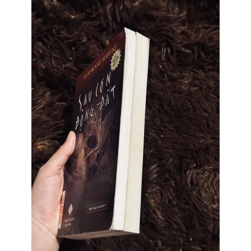 Sau cơn động đất + phía tây 997857