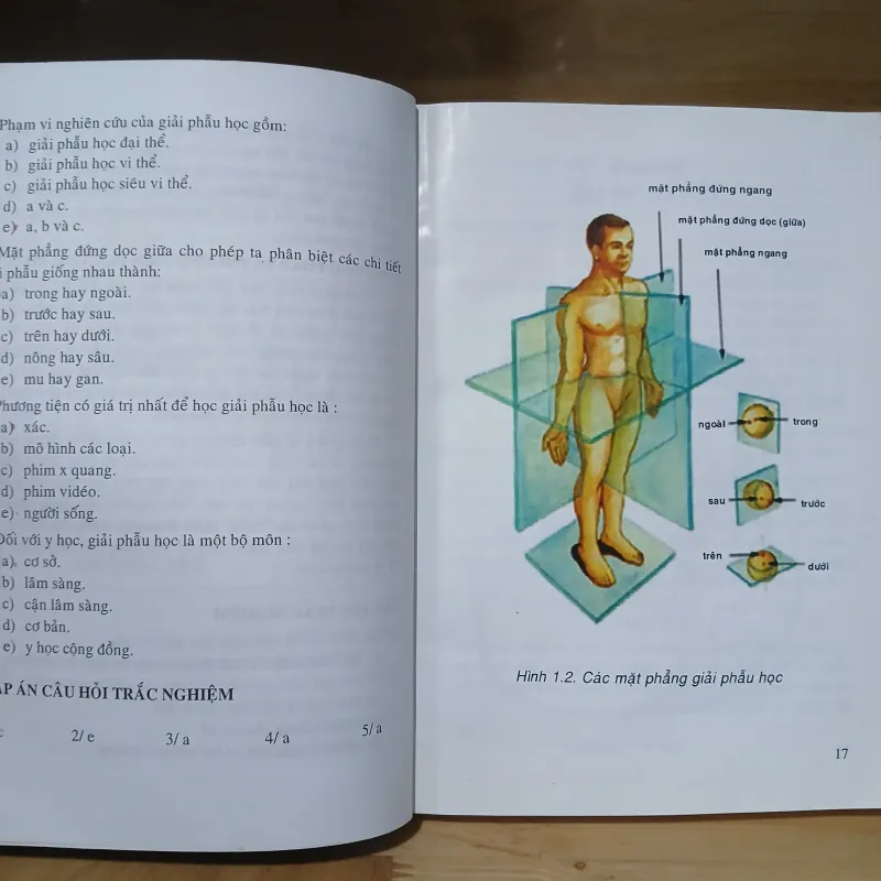 Giản Yếu Giải Phẫu Người (Nxb Y Học 2006) 1031447