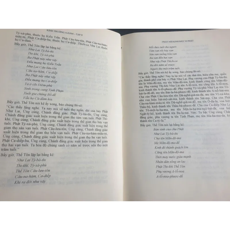 Đại Tạng Kinh Việt Nam - Trường A Hàm 712117