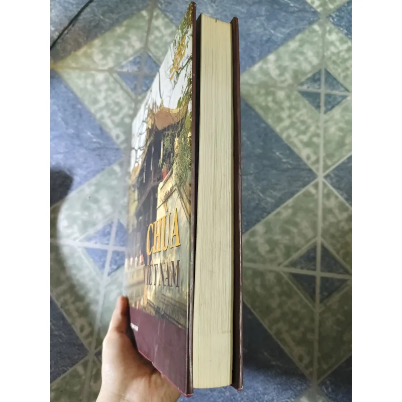 Chùa Việt Nam - Hà Văn Tấn & Nguyễn Văn Kự & Phạm Ngọc Long 748809