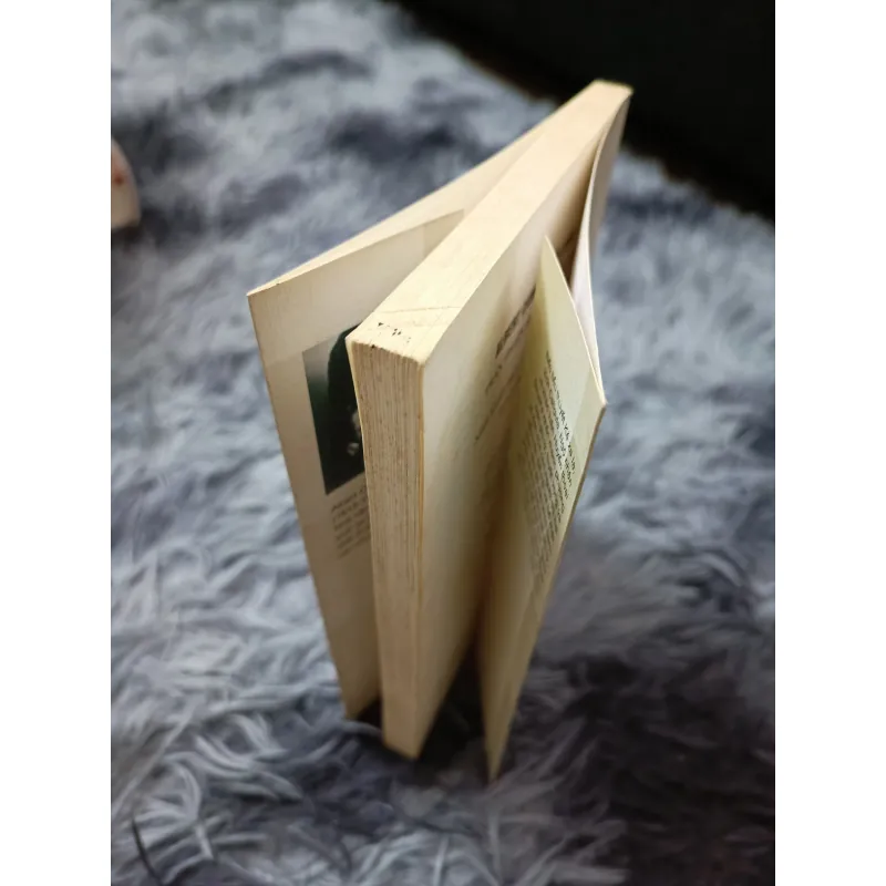 Tiểu luận Albert Camus 791052