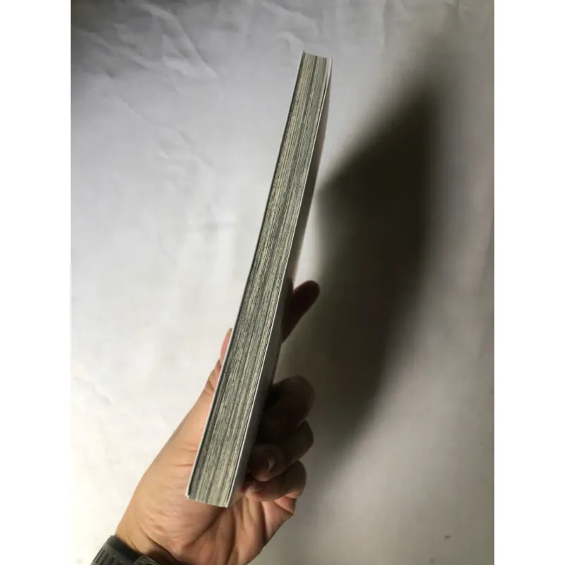 My Eye - Saya Miyauchi 1022931