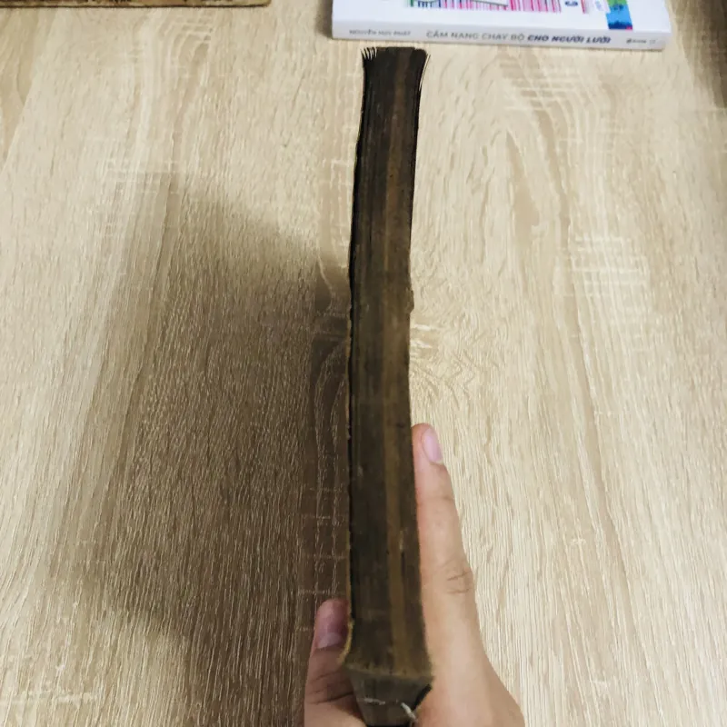 LÝ LUẬN VÀ PHƯƠNG PHÁP GIÁO DỤC THỂ CHẤT  1042242
