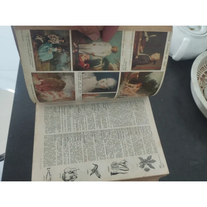 Petit Larousse 1963 993680