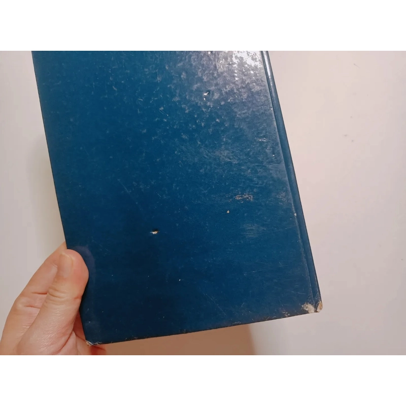 Trịnh Công Sơn Và Cây Đàn Lyre Của Hoàng Tử Bé - Hoàng Phủ Ngọc Tường 319377
